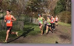 Begles 15.12.13 01 1074 * 680 x 417 * (162KB)